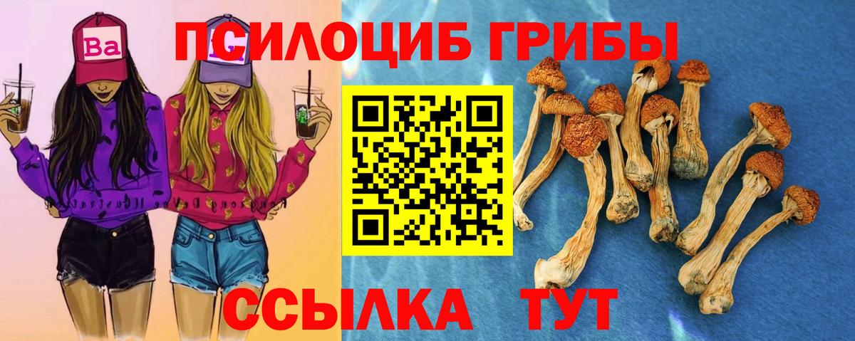 Галлюциногенные грибы Psilocybe Алапаевск